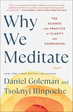 Honest review of Why We Meditate: The Science and Practice of Clarity and Compassion