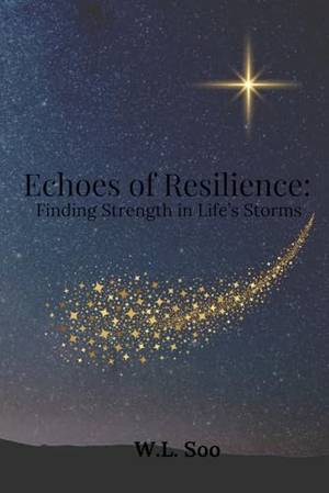 Honest review of Echoes Of Resilience: Finding Strength in Life's Storms